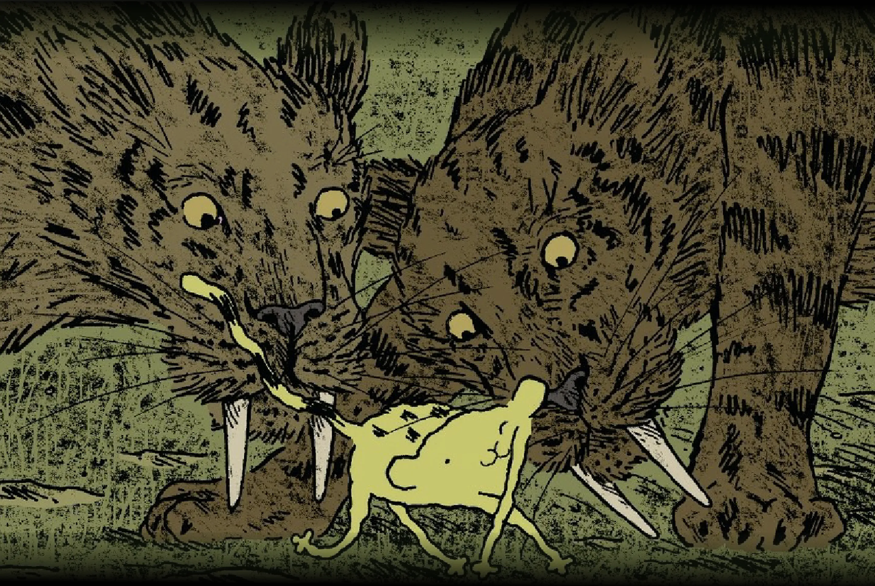 Deux tigres et Sabre