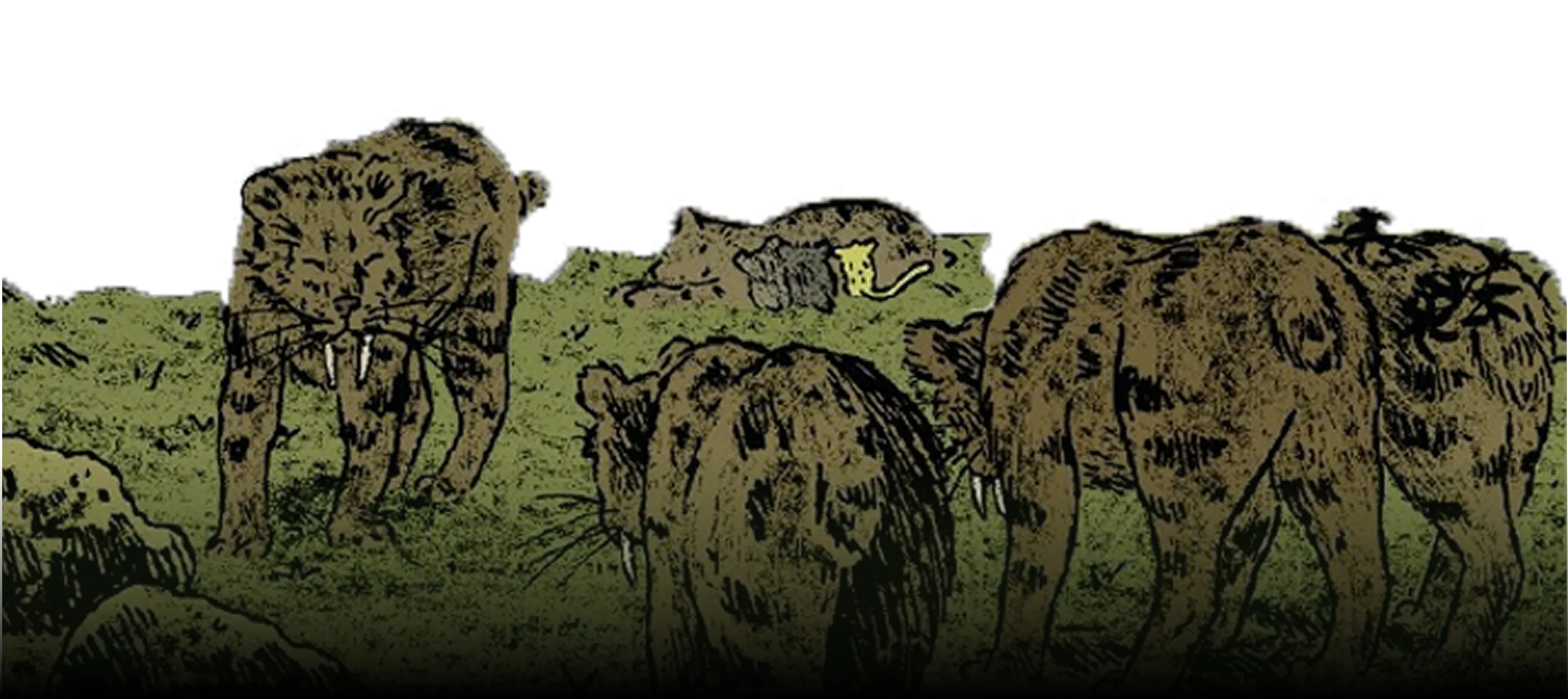Animaux