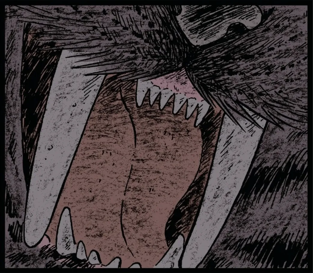 Dents d'un tigre